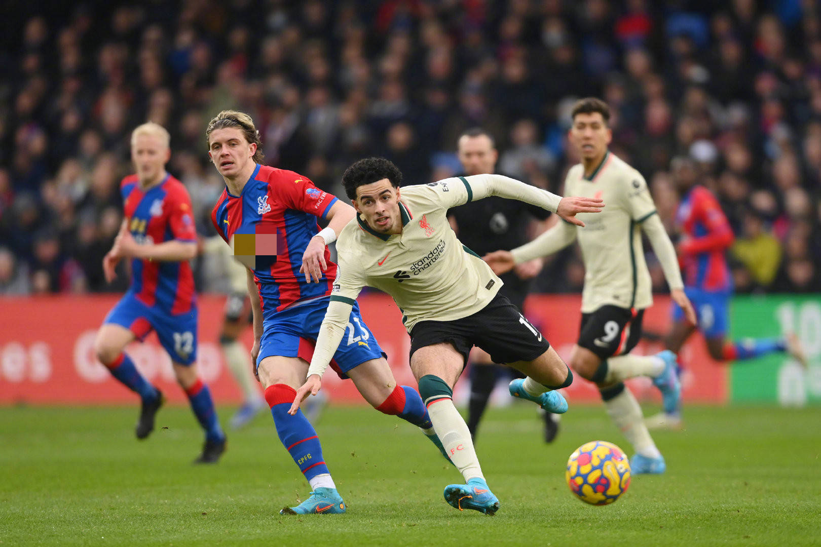 河南队终于 河南队终于